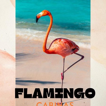 Cabinas Flamingo Playa Flamingo Zewnętrze zdjęcie