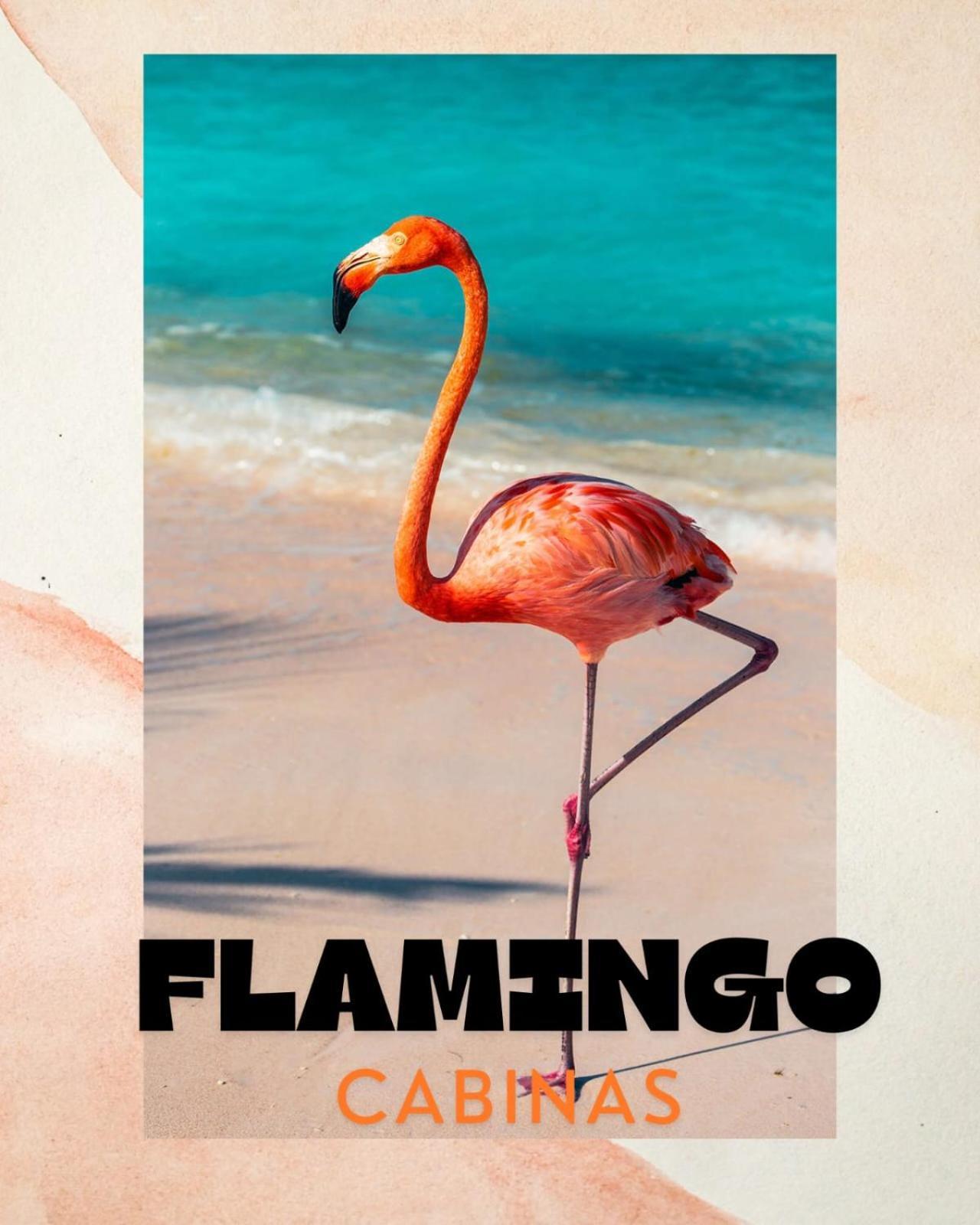 Cabinas Flamingo Playa Flamingo Zewnętrze zdjęcie